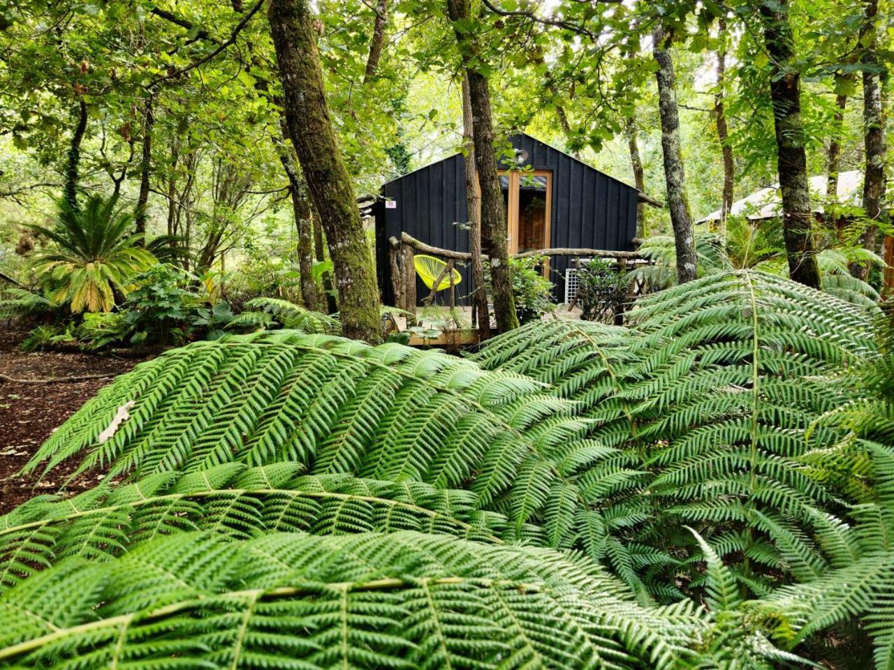 Camping Aux Couleurs Du Ferret Lège-Cap-Ferret Buitenkant foto