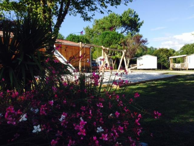 Camping Aux Couleurs Du Ferret Lège-Cap-Ferret Buitenkant foto
