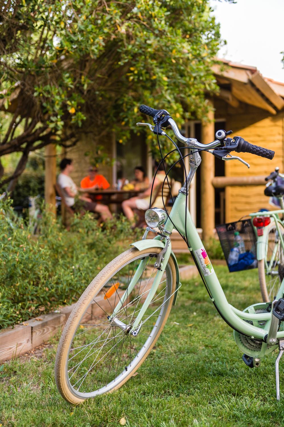 Camping Aux Couleurs Du Ferret Lège-Cap-Ferret Buitenkant foto